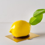 Diseño sin título (66)